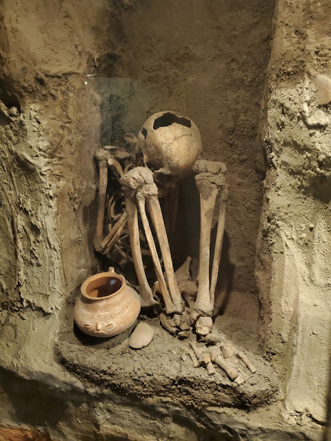 a museum display of a sitting skeleton with it's head between it's knees